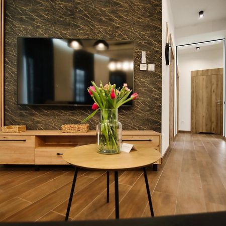 Apartamenty Laguna Beskidow - A2 Zarzecze  Esterno foto